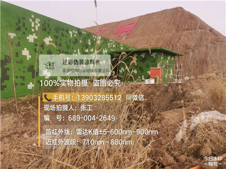 常德星空迷彩墙施工队