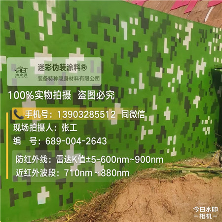 常德星空迷彩漆，夏令营训练,数码迷彩作训墙,围墙