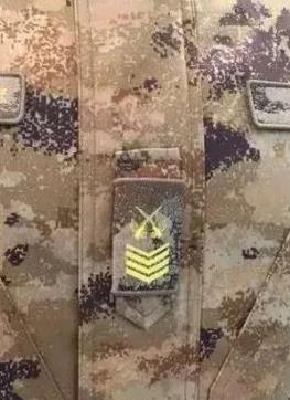 常德大面外墙建议图案比例协调